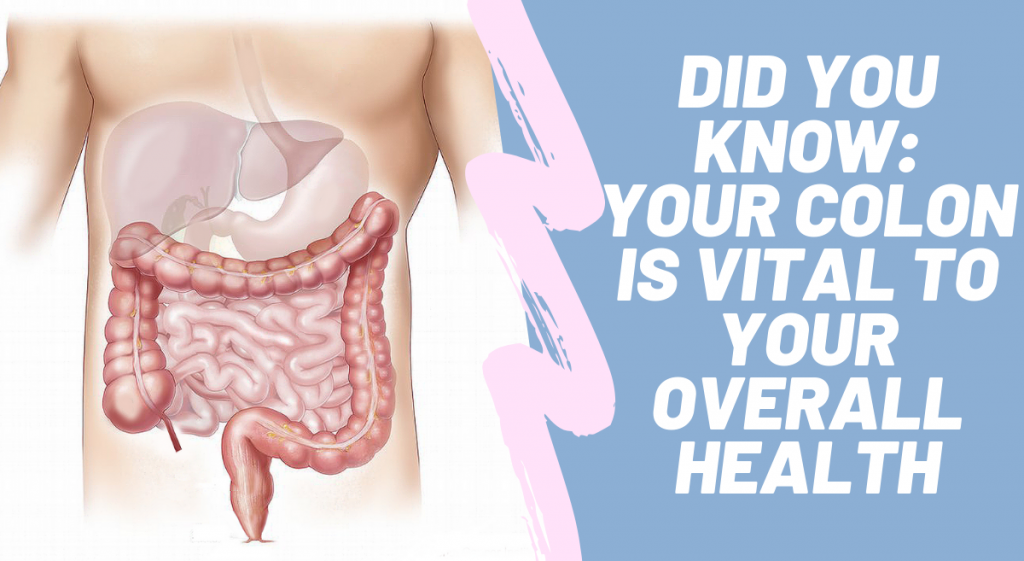 DID YOU KNOW: YOUR COLON IS VITAL TO YOUR OVERALL HEALTH